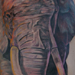 tattoo galleries/ - Elephant - 34554